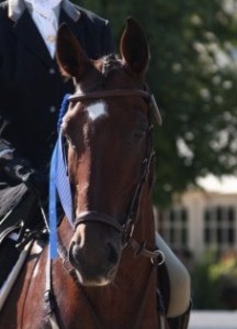 Completely gratuitous picture of Elliot  :-)