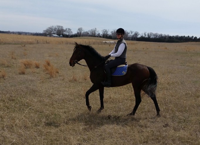 Howdy camie beagle hunt
